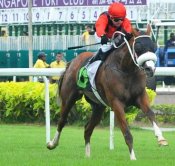 Cannon Hill sprints clear of the pack to register his first win at Kranji on Sunday.<br>Photo by Singapore Turf Club